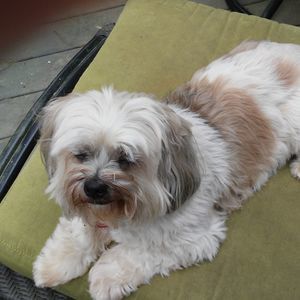 Meet your Posher, Ann